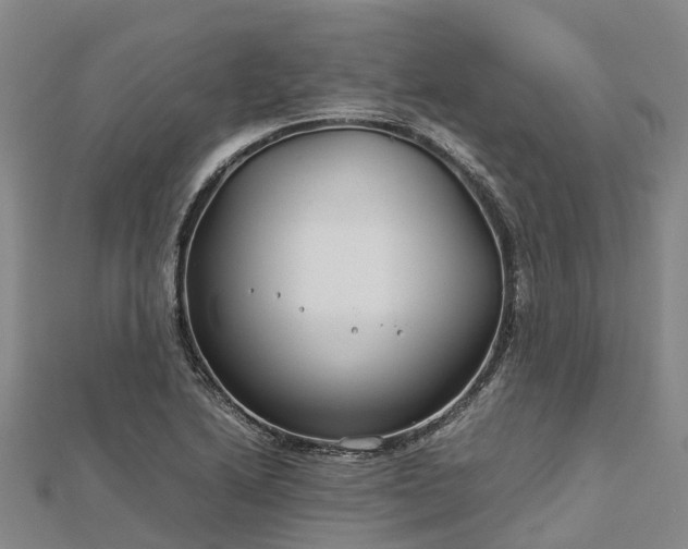 X0000113011222200909031307