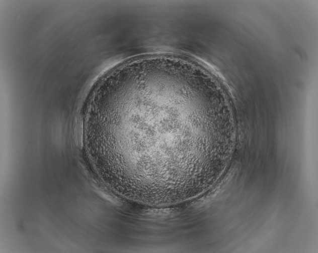 X0000113011223200909031307