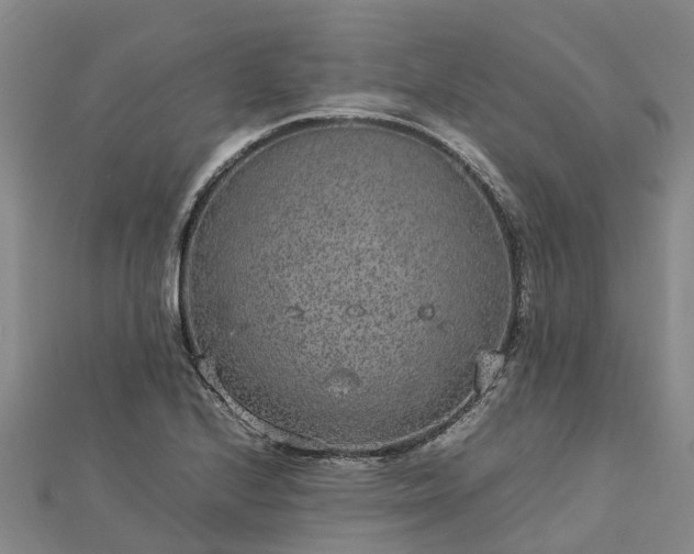 X0000113011224200909031307