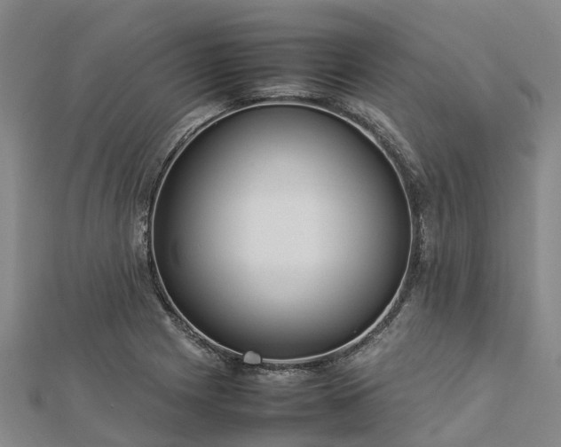 X0000113011225200909031307