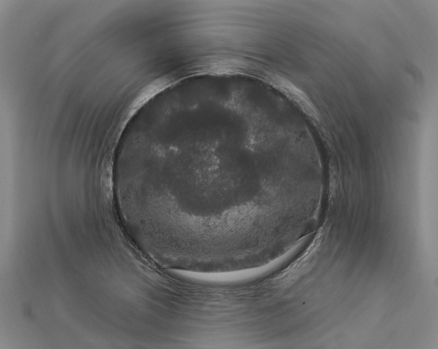 X0000113011226200909031307