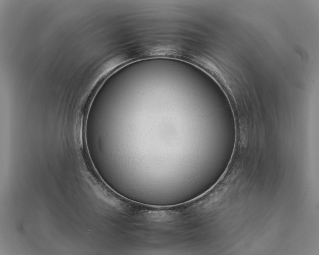 X0000113011227200909031307