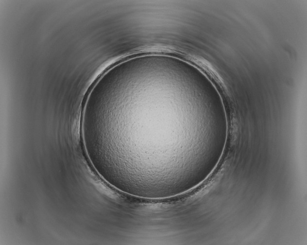 X0000113011228200909031307