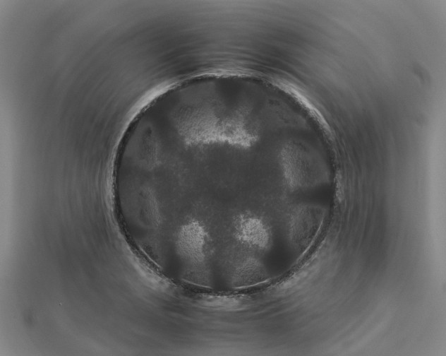 X0000113011229200909031307