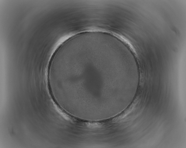 X0000113011231200909031307