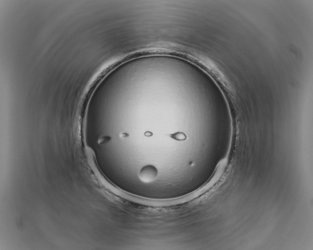 X0000113011232200909031307