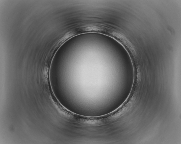 X0000113011233200909031307