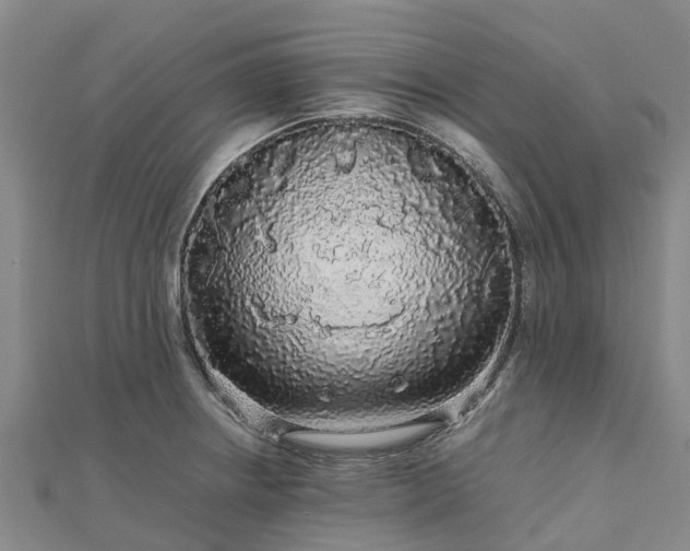 X0000113011234200909031307