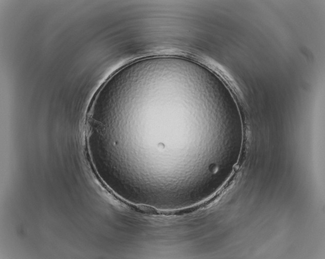 X0000113011236200909031307