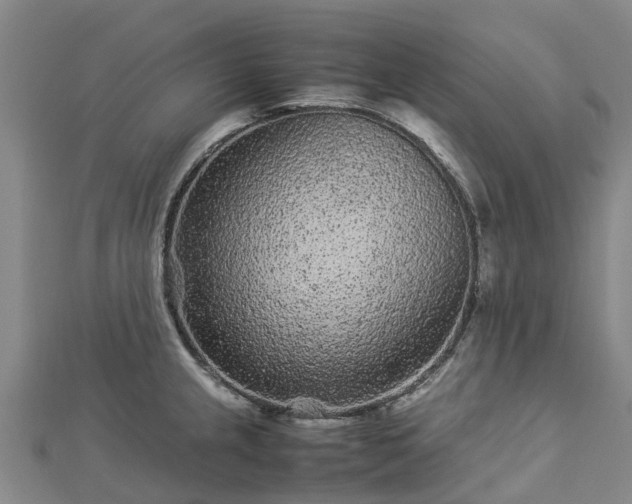 X0000113011237200909031307