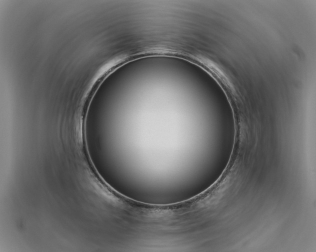 X0000113011238200909031307