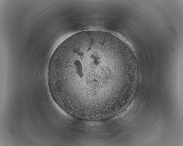 X0000113011239200909031307