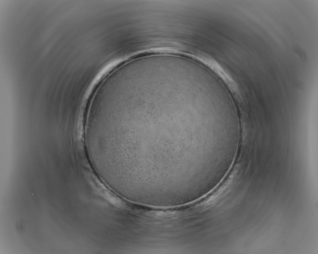 X0000113011240200909031307