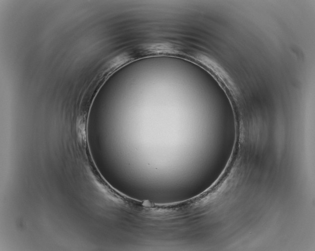 X0000113011241200909031307