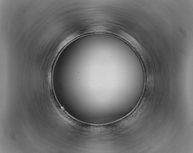 X0000113011242200909031307