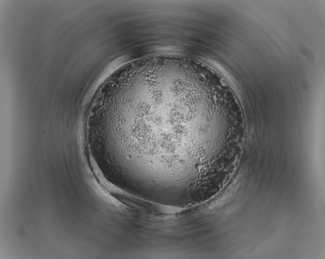 X0000113011243200909031307