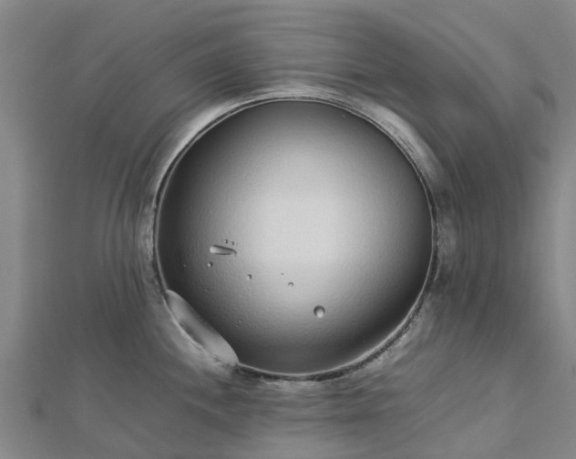 X0000113011244200909031307