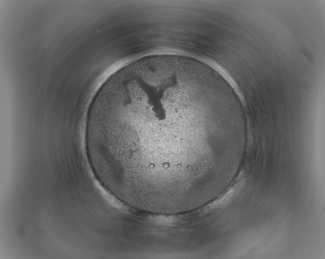 X0000113011245200909031307