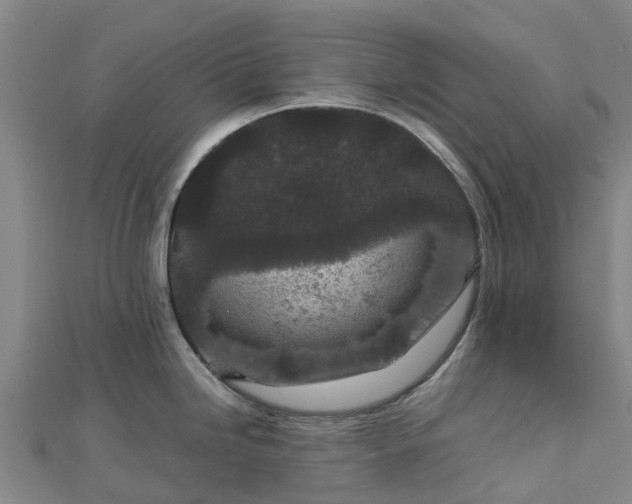 X0000113011246200909031307