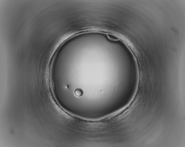 X0000113011247200909031307