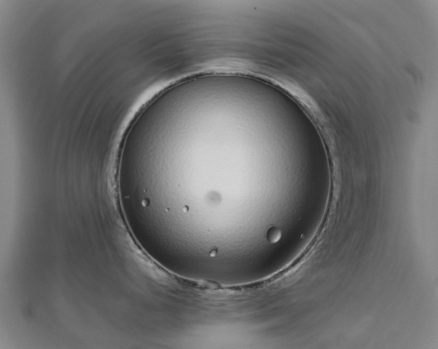 X0000113011248200909031307