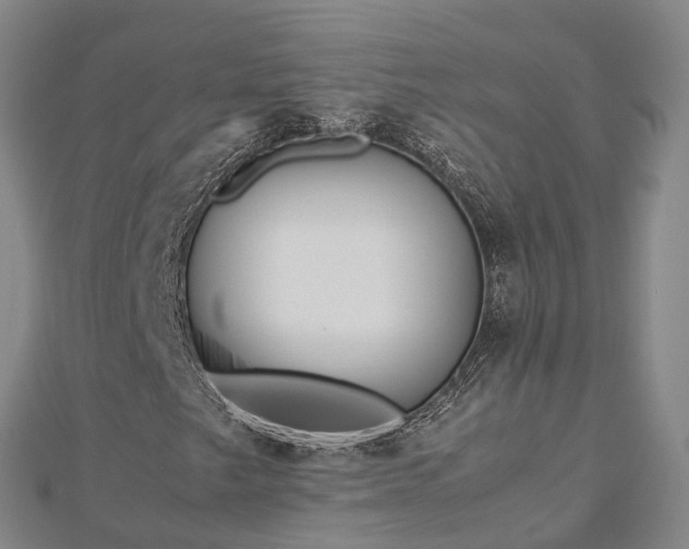 X0000113011249200909031307