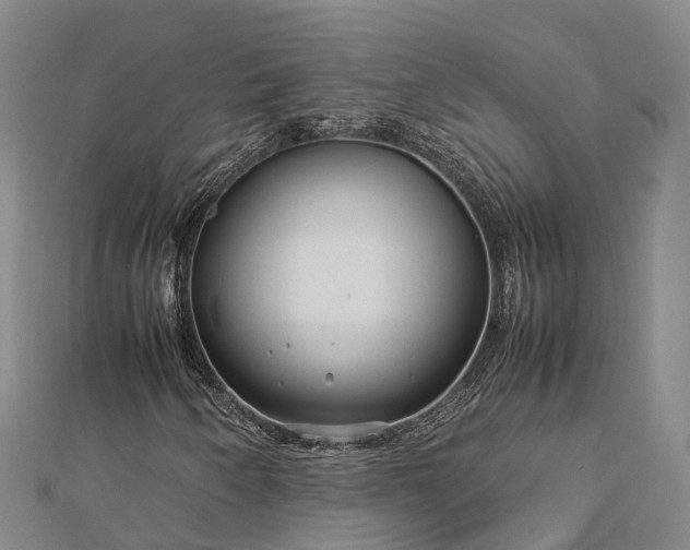 X0000113011250200909031307