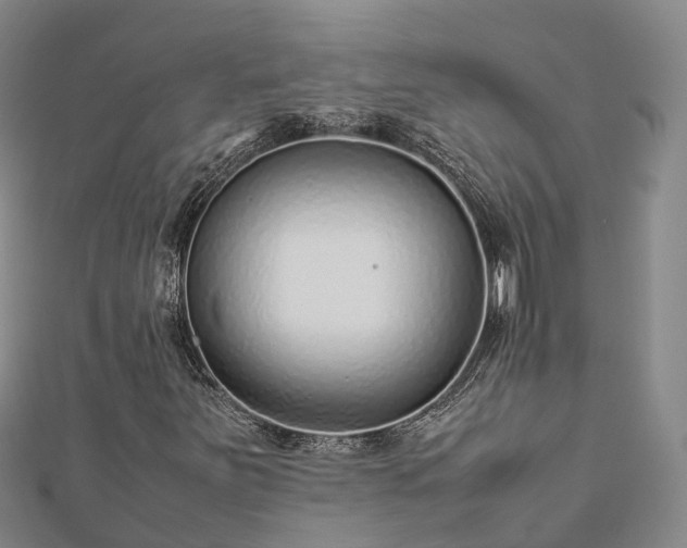 X0000113011251200909031306