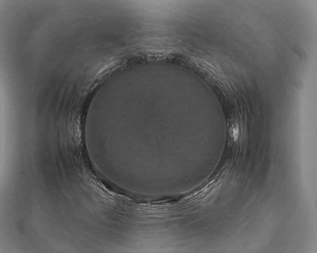 X0000113011252200909031306