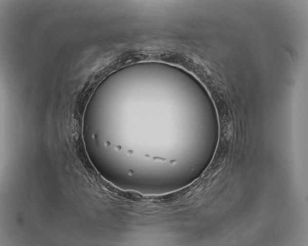 X0000113011253200909031306