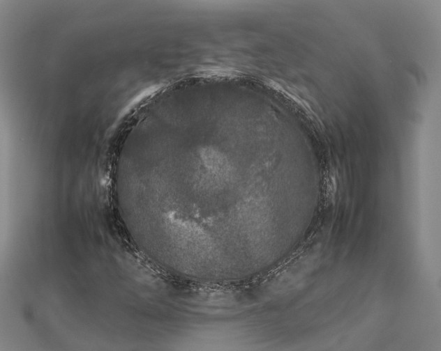 X0000113011254200909031306