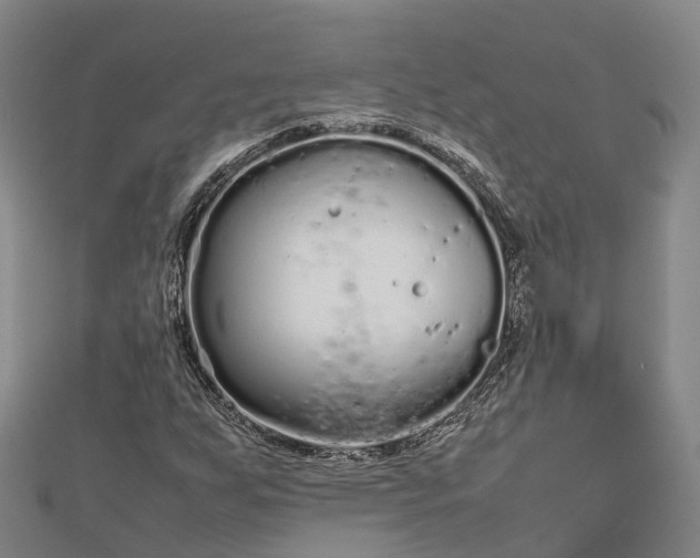 X0000113011255200909031306