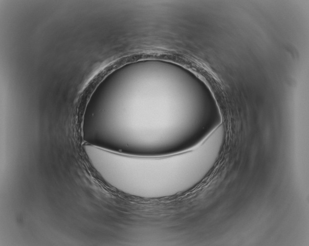 X0000113011256200909031306