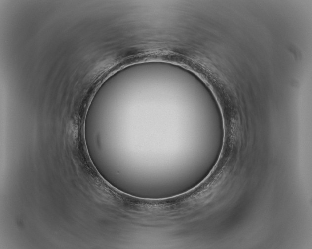 X0000113011257200909031306