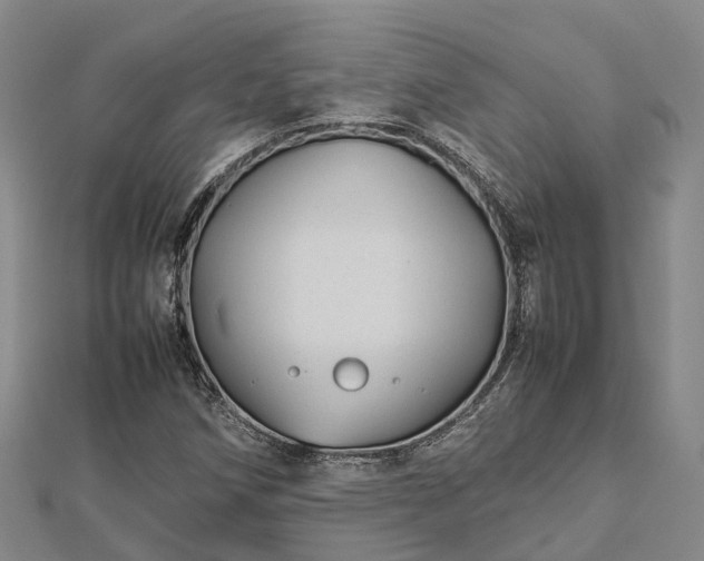 X0000113011258200909031306