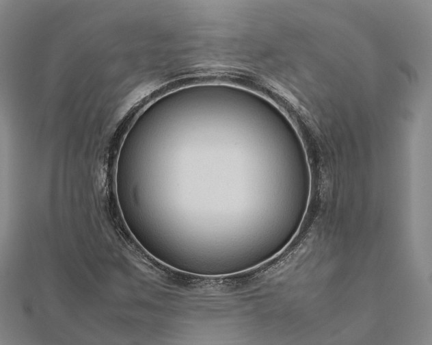 X0000113011259200909031306