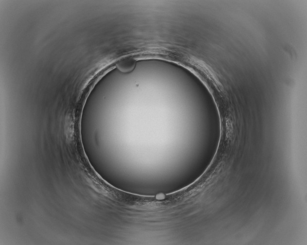 X0000113011260200909031306