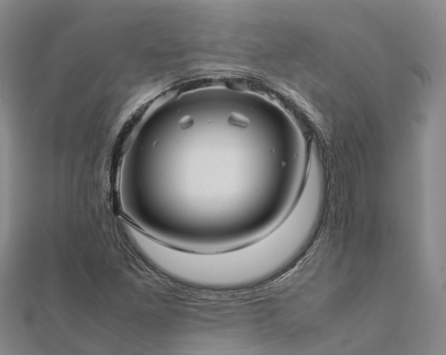 X0000113011261200909031306