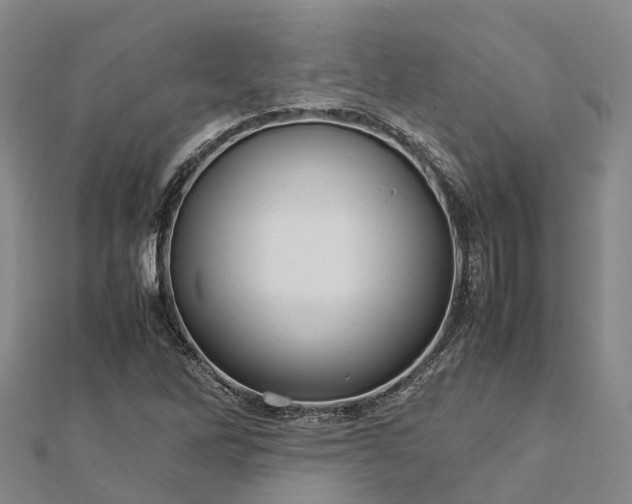 X0000113011262200909031306