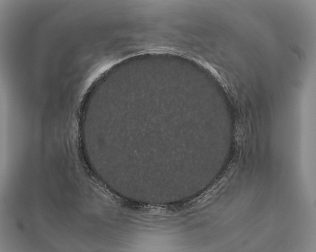 X0000113011263200909031306