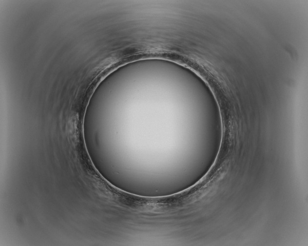 X0000113011265200909031306