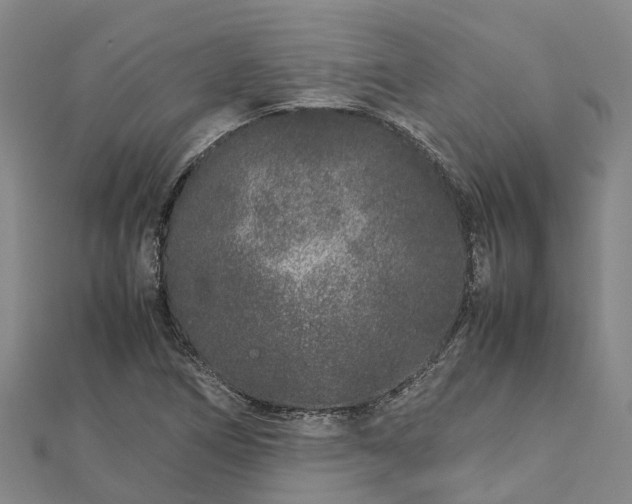 X0000113011266200909031306