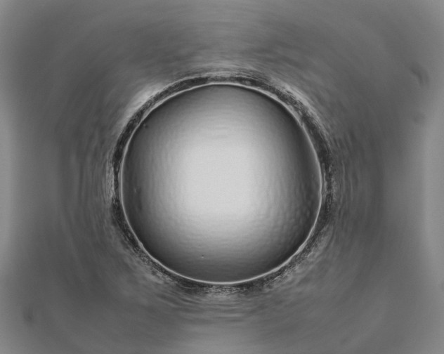 X0000113011267200909031306