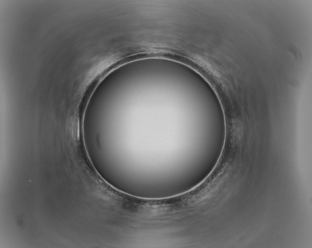 X0000113011269200909031306