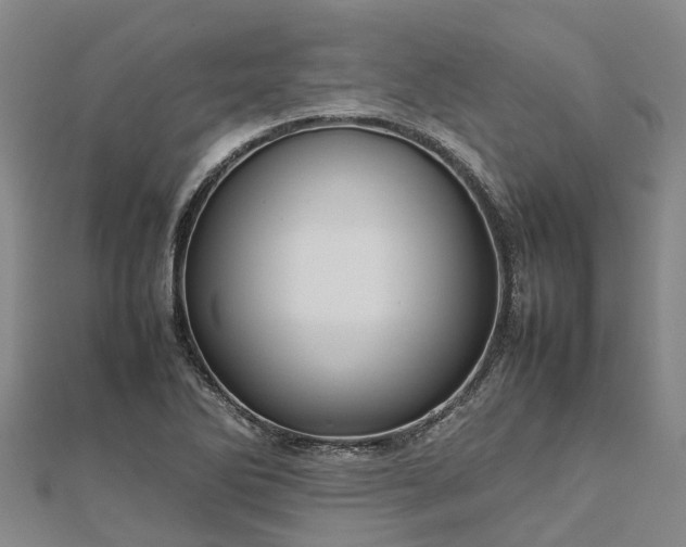 X0000113011270200909031306