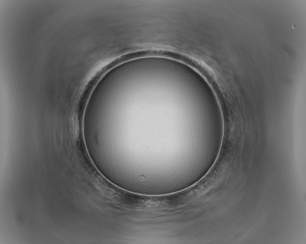 X0000113011271200909031306