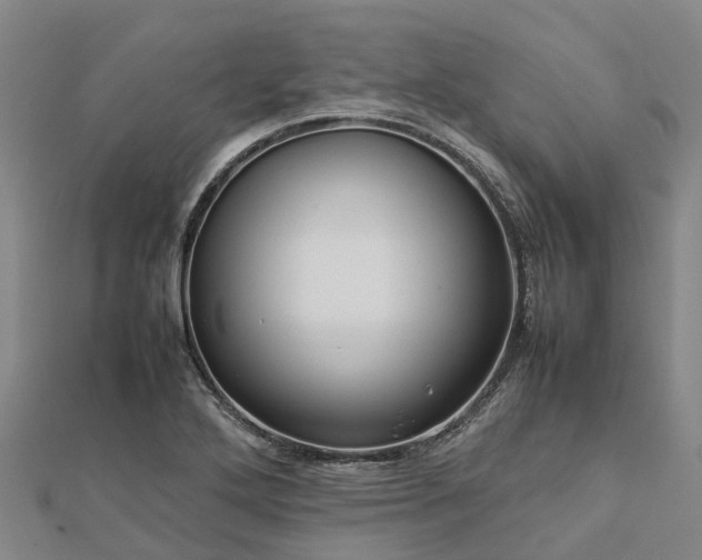 X0000113011272200909031306