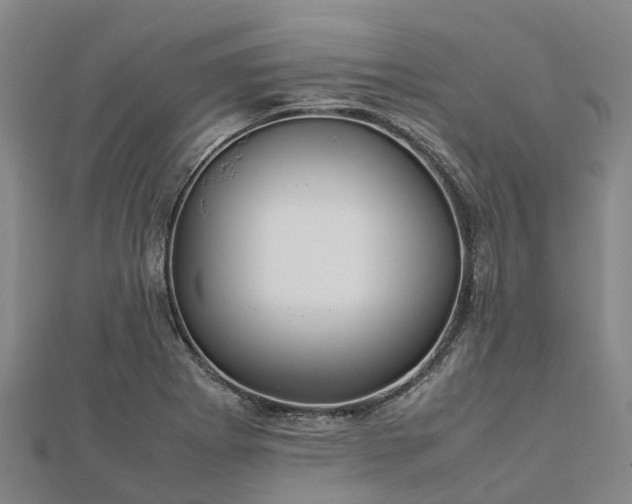 X0000113011273200909031306