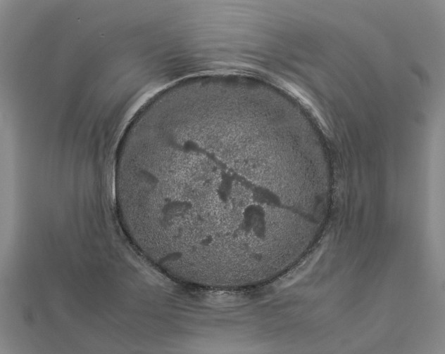 X0000113011275200909031306