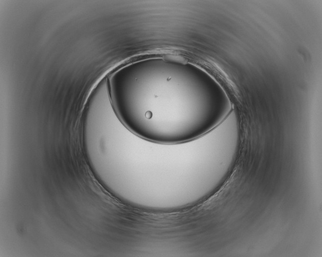 X0000113011276200909031306